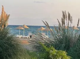 Tranquil Suites By the Sea
