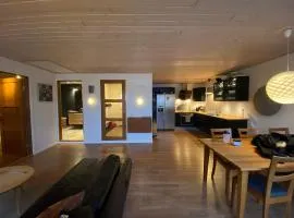 1-Bedroom Apartment In City Center