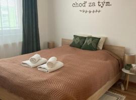 Apartmán neďaleko centra mesta, hotel v destinaci Michalovce