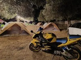 Waveside Camping