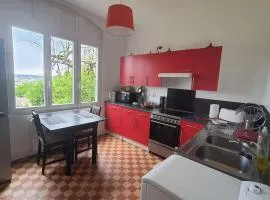 House with garden and view of Rouen