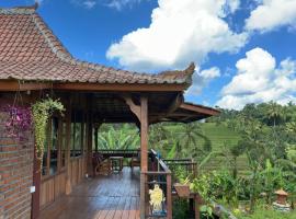 Rumah Pacung, villa en Penebel