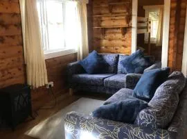 Misty Mountain Log Cabin - Trawsfynydd