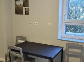 Apartment for 3 guests
