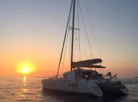 Superbe catamaran
