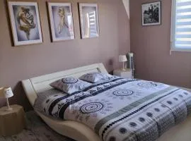 La Maison au bord de Saône