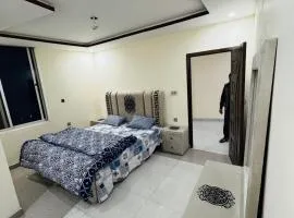 brand new flat fully furnished