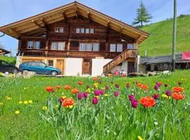 Chalet Grittelihus, large bathroom, Lots of living space, nhe Interlaken