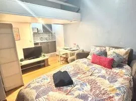 Le Roquet - Appartement hyper centre Laval