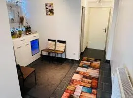 Cosy & Separate 1 bedroom apartment in a Big House