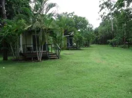 Pandanus on Litchfield