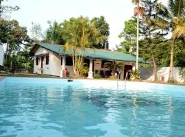 New Greenish Villa
