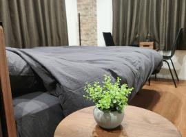 金澤屋Hirooka, apartmán v destinaci Kanazawa