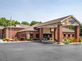 Comfort Inn near Downtown & Blue Ridge PKWY