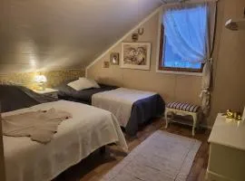 Ainola Arctic Hillside