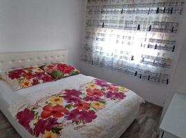 Steffi Apartment, κατάλυμα με κουζίνα σε Balş