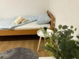 Apartment Ramdedovic1