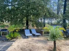 MH 007 ELITE 3 chambres dont suite parentale et 2 salles de bain sur magnifique parcelle dans camping 4 étoiles