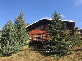 Chalet spacieux et ensoleillé à Montgenèvre - 10 pers - 5 chambres - Quartier calme et résidentiel - FR-1-445-139