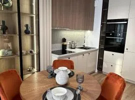 Luksusowy apartament z klimatyzacją i garażem podziemnym w centrum miasta