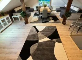 MX - House 10 min PARIS EXPOS- 11 bedrooms -