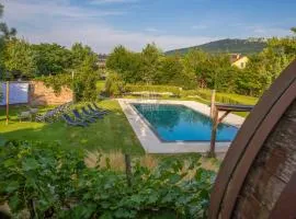 Amenity Penzion Horni Vestonice