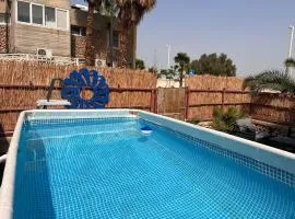 Kingdom of the Dead Sea Crown Group Collection