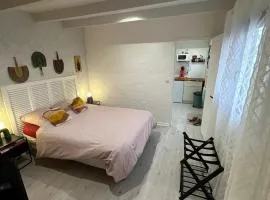 Timounyan T1 N23 centre ville Animaux acceptés