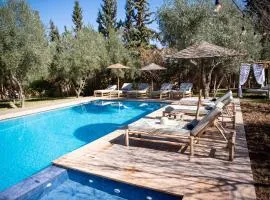 La Villa Safran Ailleurs sous les Oliviers