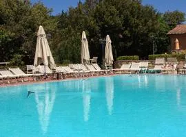 Residence with swimming pool in Monteverdi Marittimo