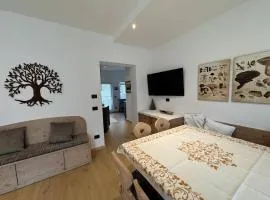Appartamento Continental - 8 posti letto