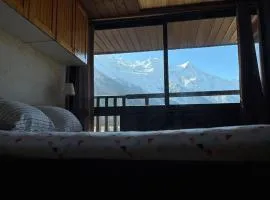 Mont Blanc Panorama