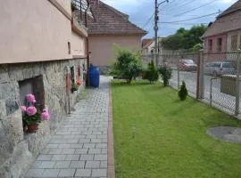 Casa Pleșca