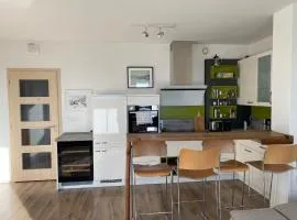 Penthouse mit Balkon in zentraler Lage in Pilsen