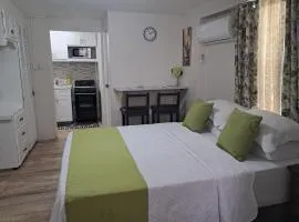 Michand Guest Apartments- Cozy one or two bedroom- 5 walk minutes from airport 10 mins drive to Oistins or beach