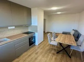 Pieninská apartment