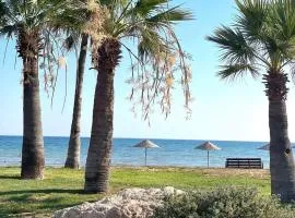 Olive Suites by the Sea