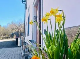 Haus Erna Weitra