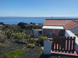 Lobo do Mar