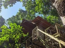 Treehouse Tayrona