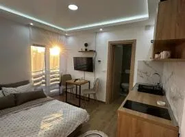 Apartmani Mojić Divčibare 2