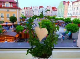 Apartament Przy Starówce - Zoni