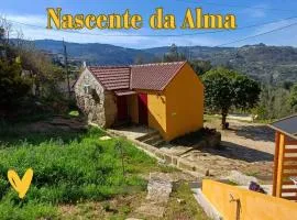 Nascente, place in nature next to a waterfall