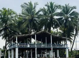 Absolute Paradise