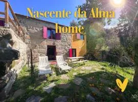 Nascente home place in nature next to a waterfall