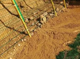 قرايوا اولاد رابح