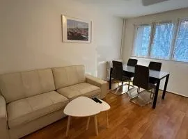 Nice 3 rooms 400m RER B direct Paris