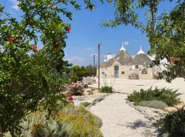 Infinity Truly Trulli