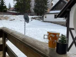 DD Leon Vikendica Kopaonik
