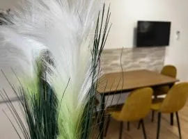 Apartma Rače